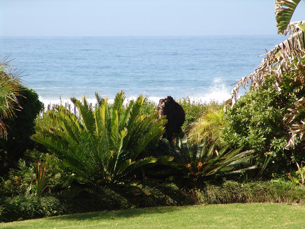 Diaz 15 House On The Bay Hotel Jeffreys Bay Exterior photo